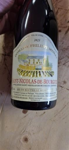 Loire-dalen Saint-Nicolas-De-Bourgueil Domaine Philippe Mabileau 2023