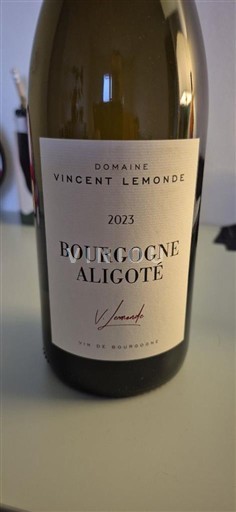 Burgundi Bourgogne Aligoté Domaine Vincent Lemonde 2023