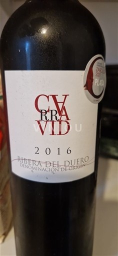 Castilien og León Ribera del Duero Curravid 2016