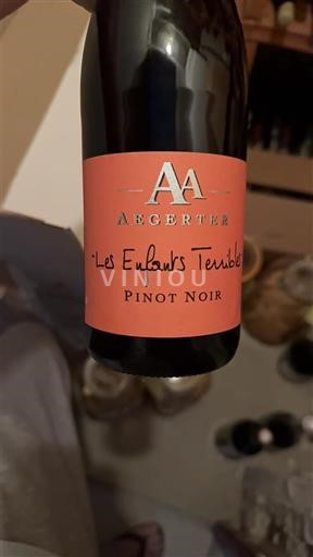 Bourgogne Aegerter Les Enfants Terribles Icke årgångsbetecknad