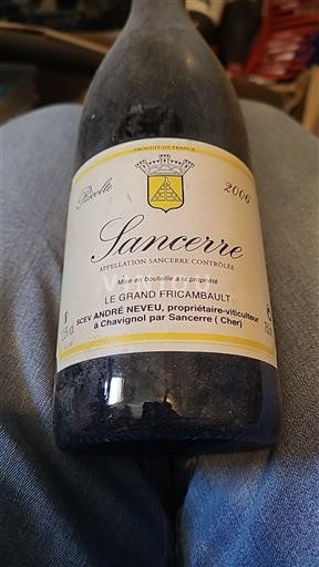 Valle del Loira Sancerre André Neveu Le Grand Fricambault 2006