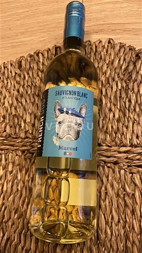 Akvitanien och Charentes Atlantique French Dog Marcel Icke årgångsbetecknad