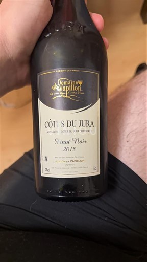 Jura Côtes-du-jura Domaine Papillon Pinot Noir 2018