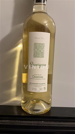 Languedoc und Roussillon Cévennen André Roux Sauvignon Ohne Jahrgang