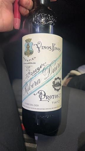 Castilien og León Ribera del Duero Protos 27 2020