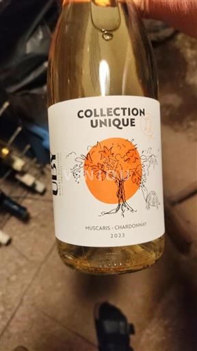 Languedoc y Rosellón País de Oc Collection Unique 2023