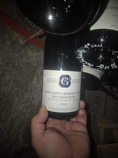 Bourgogne Nuits-saint-georges Premier Cru Philippe Gavignet Les Chaboeufs 2019