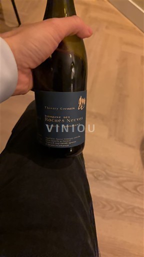 Loire-dalen Saumur-Champigny Domaine S Roches Neuves Saumur Champigny 2023