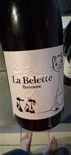 Brittany La Belette Bretonne 2022