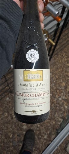 Loiren laakso Saumur-champigny Domaine Aunis 2021