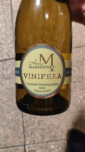 Rượu vang Blanc sec Vinifera Henri Marionnet 2022 Pháp Thung lũng sông Loire Touraine AOC