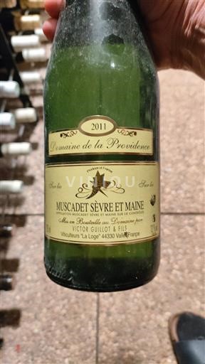 Loire Valley Muscadet Sèvre et Maine Domaine La Providence 2011