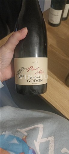 Loire Valley Unspecified Jérôme Godon Pinot Noir 2023