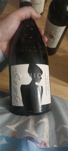 Languedoc y Rosellón País de Oc Vasja Belle de Syrah 2017