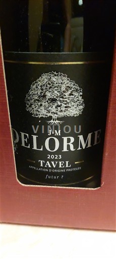 Valle del Rodano Tavel J-M Delorme Futur ? 2023