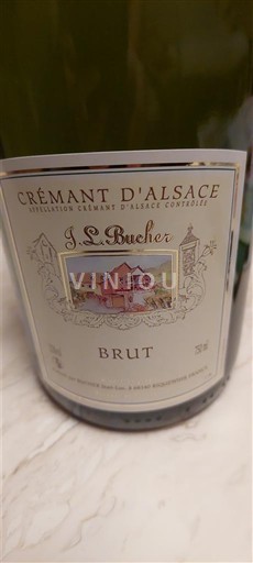 Alsace Alsace-kuohuviini J.L. Buecher Ei vuosikertaa