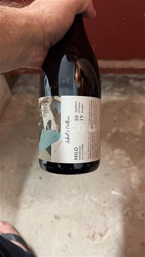 Valais Ikke specificeret Albert Mathier Milo 2019