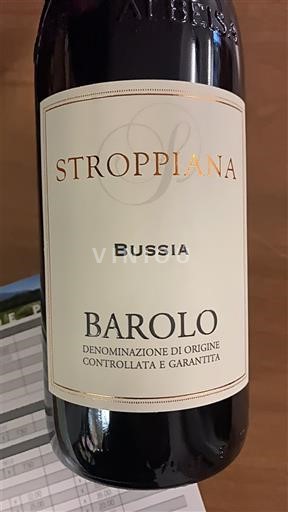 Piemonte Barolo Stroppiana Bussia 2013