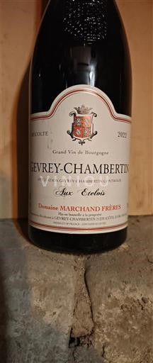 Bourgogne Gevrey-chambertin Domaine Marchand Frères Aux Etelois 2022