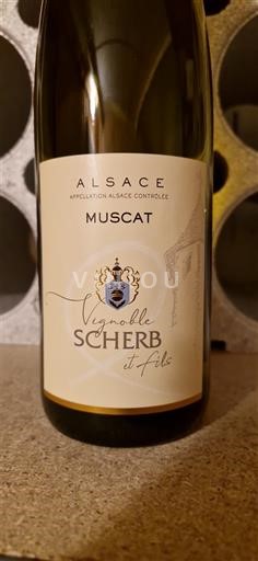 Alsace Vignoble Scherb et Fils 2023