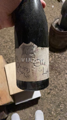 Beaujolais Beaujolais Villages Gilles Gelin Elle & Lui Ikke årgangsbestemt