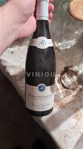 Bourgondië Bourgogne Domaine Breuil 2017