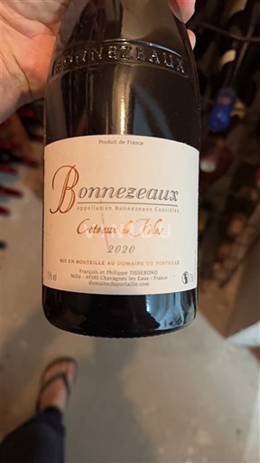 Loiretal Bonnezeaux Domaine Petit Val Coteaux de fèles 2020