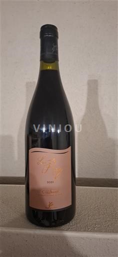 Roussillon Collioure Terres des Templiers Le Reif 2021