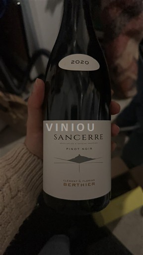 Loire Valley Sancerre Clément & Florian Berthier 2020