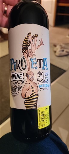 Mendoza Pirueta Gran Malbec 2022