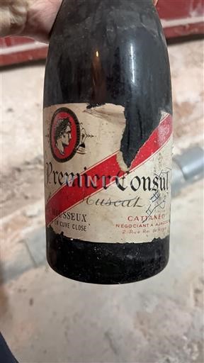 Korzika Ajaccio Cattaneo Premier Consul Muscat Neleten.