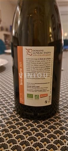 Loire-dalen Muscadet-Sèvre-et-Maine Domaine Luneau-Papin Terre de pierre 2021