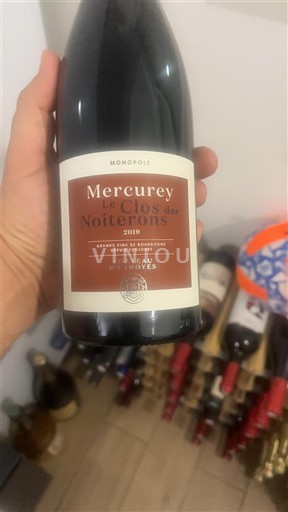 Borgogna Mercurey Premier Cru Château Chamirey Le Clos des Ruelles Monopole 2019