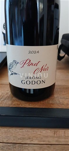 Valle del Loira Sancerre Jérôme Godon Pinot Noir 2024