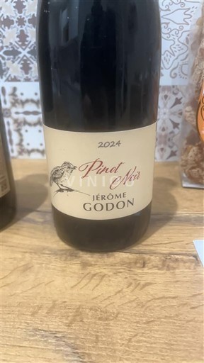 Loiretal Sancerre Jérôme Godon Pinot Noir 2024