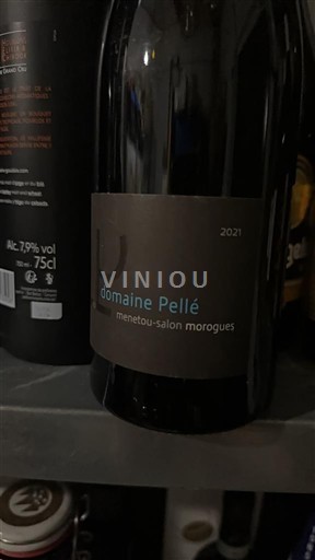 Vallée de la Loire Menetou-salon Domaine Pellé Morogues 2021
