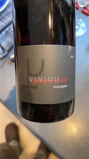 Valle del Loira Menetou-Salon Domaine Pellé Morogues 2021