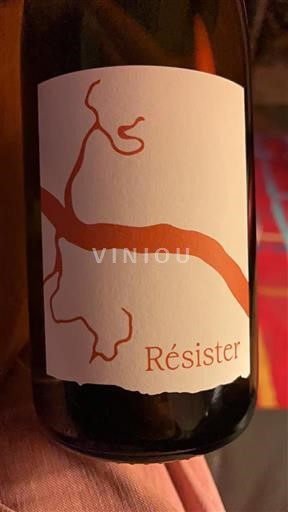 Brittany La vigne et l'abeille Résister 2024