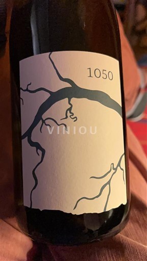 Brittany La vigne et l'abeille 1050 2024