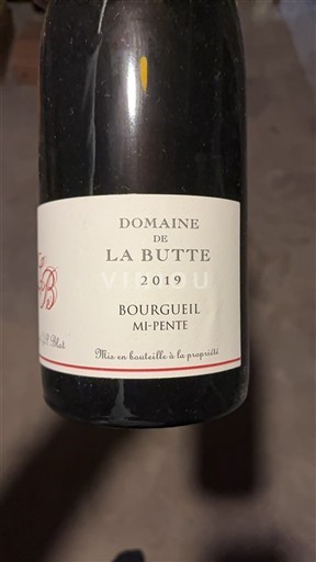 Vale do Loire Bourgueil Domaine La Butte Mi-Pente 2019