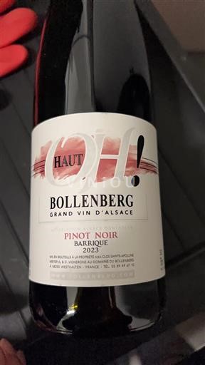 Alsazia Haut Bollenberg Pinot Noir Barrique 2023