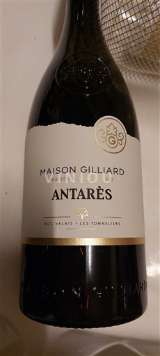Valais Não especificado Maison Gilliard Antarès 2020