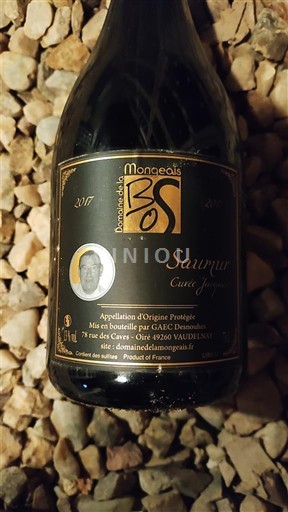 Údolí Loiry Saumur Domaine S Mongeais Igor 2017