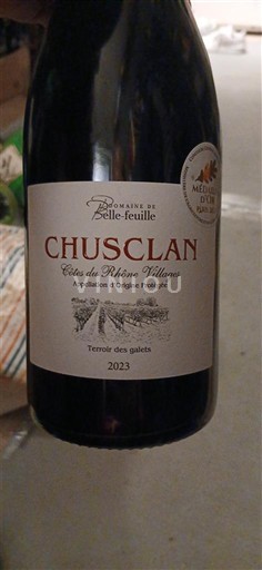 Valle del Ródano No especificado Domaine Belle-feuille Terroir des galets 2023
