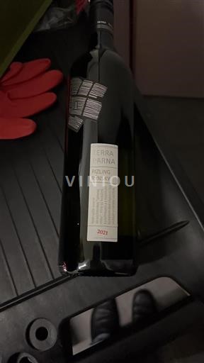 Nitra Terra Arna 2021