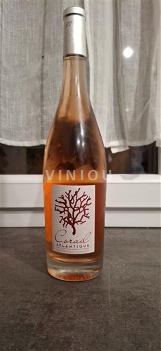 Bordeaux Bordo rose Corail Neleten.