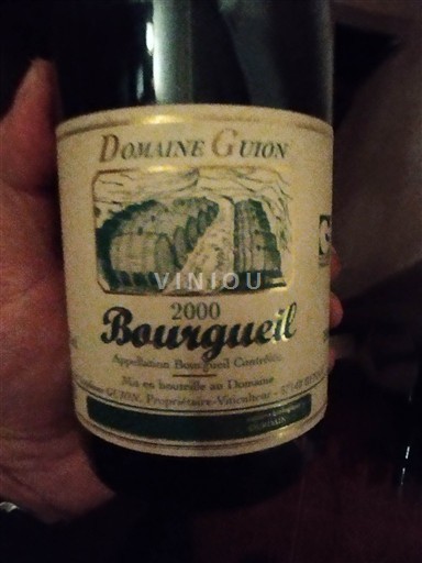 Valle del Loira Bourgueil Domaine Guion 2000