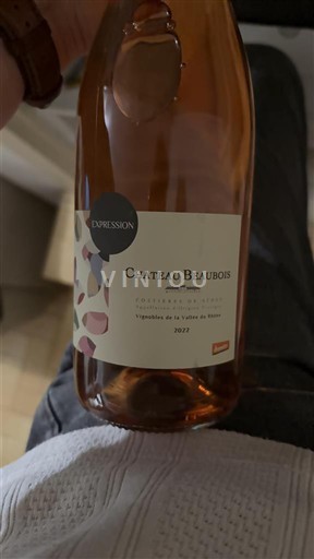 Rhône Valley Costières-de-Nîmes Château Beaubois Expression 2023