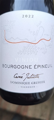 Bourgogne Bourgogne Epineuil Dominique Gruhier Juliette 2022