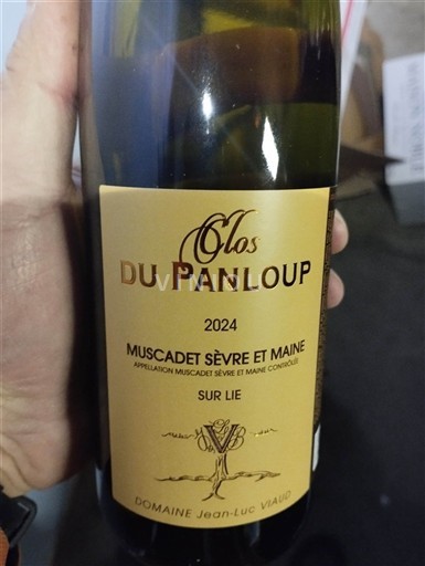 Viinit Blanc sec Clos du Panloup Domaine Jean-Luc Viaud 2024 Ranska Loiren laakso Muscadet-sèvre-et-maine AOC